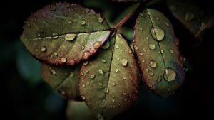Un temps pour agir un temps pour réfléchir